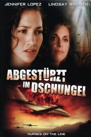 Poster Abgestürzt im Dschungel 1993