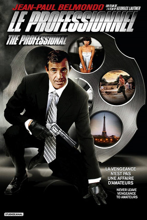 The Professional 46