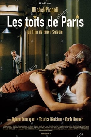 Les toits de Paris poster