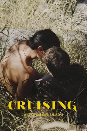Poster Cruising 2020