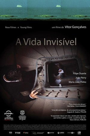 Image A Vida Invisível