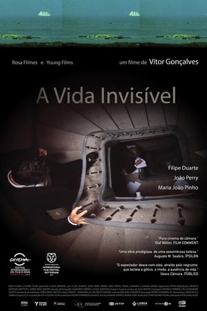 Poster A Vida Invisível 2013