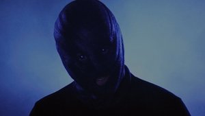 The Collection (2012)