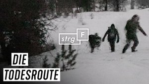 Episode 199