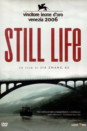 Still Life (2006)