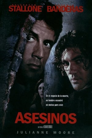 Poster Asesinos 1995