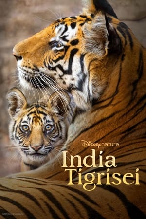 Poster India tigrisei 2024