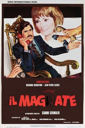 Image Il magnate