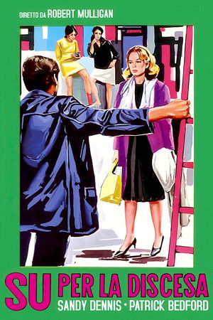 Image Su per la discesa