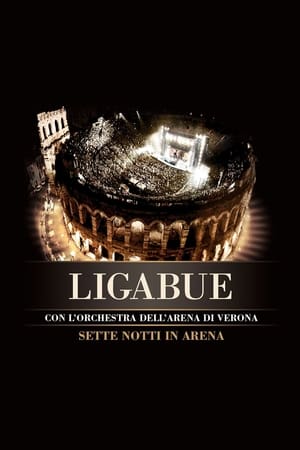 Poster Ligabue: Sette notti in Arena 2009