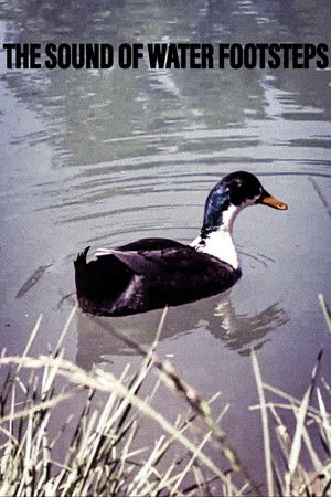 The Sound of Water Footsteps (2026)