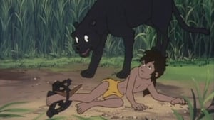 The Jungle Book: The Adventures of Mowgli Sorry Baloo