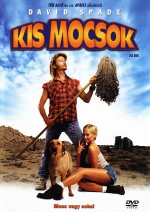 Kismocsok (2001)