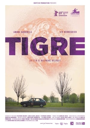 Poster Tiger (2019)