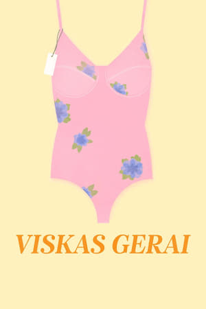 Image Viskas Gerai