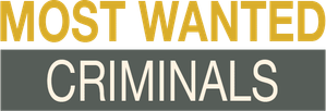 FBI: Most Wanted — Logos 3