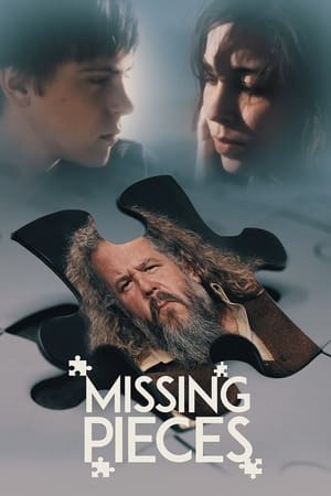 Poster Missing Pieces 2012