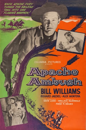 Apache Ambush poster