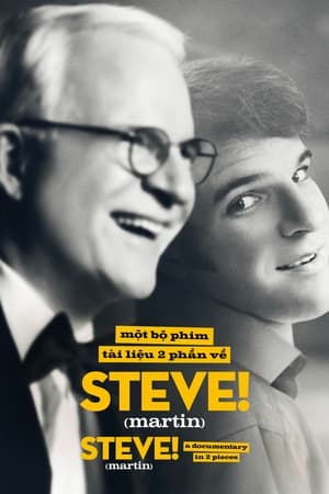Image một bộ phim tài liệu 2 phần về STEVE! (martin) - STEVE! (martin) a documentary in 2 pieces
