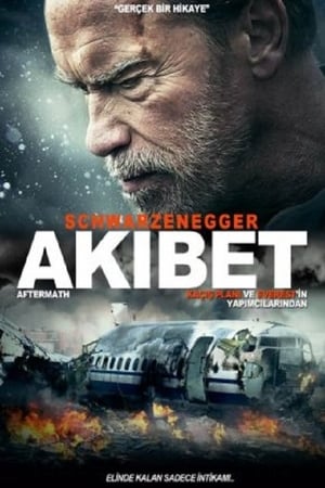 Akıbet 2017