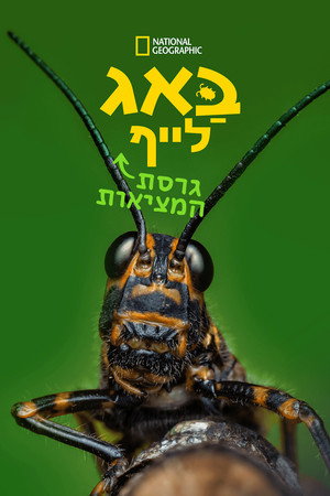 Image באג לייף: גרסת המציאות