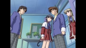 Épisode 7