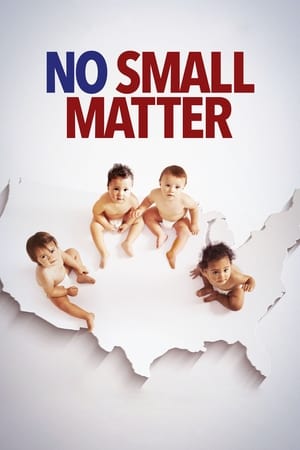 Poster No Small Matter 2019