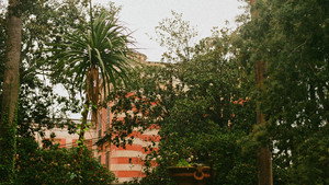 La Gradiva 31