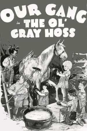 Poster The Ol' Gray Hoss (1928)