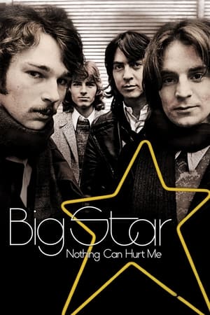Poster Big Star: Nothing Can Hurt Me (2013)