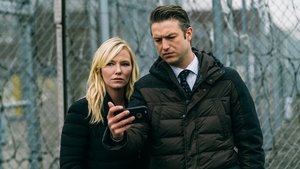 Law & Order – Unità vittime speciali: Stagione 17 x Episodio 14