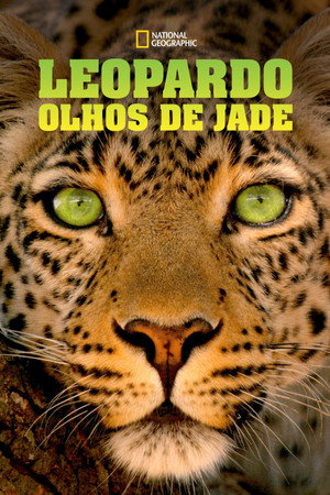 Jade Eyed Leopard 11