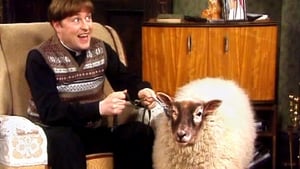 Father Ted Chirpy Burpy Cheap Sheep
