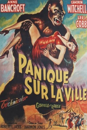 Panique sur la ville 1954