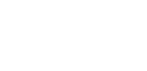 Ảnh 17