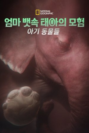 Image 엄마 뱃속 태아의 모험: 아기 동물들