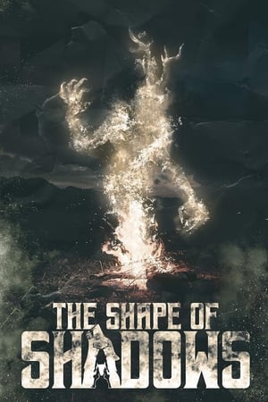 The Shape of Shadows (2023)