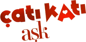 Çatı Katı Aşk