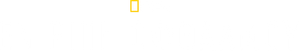 En un abrir y cerrar de ojos — Logos 11