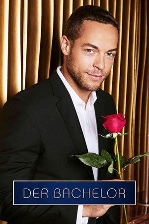 Der Bachelor - Season 9
