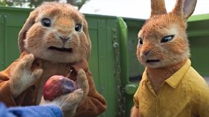 Peter Rabbit 2: The Runaway (2020)