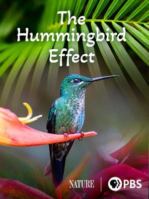 Poster The Hummingbird Effect 2023