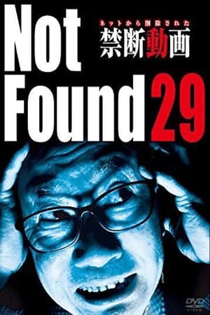 Poster Not Found 29 (2017)