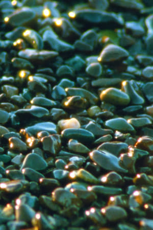 Image Jasper Beach and The Salt Marsh