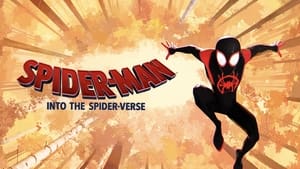 Spider-Man: into the Spider Verse 2018