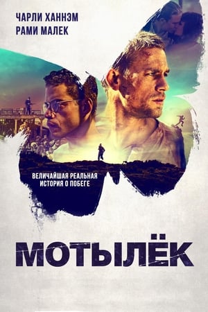 Poster Мотылёк 2017