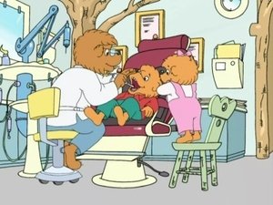 The Berenstain Bears Visit the Dentist