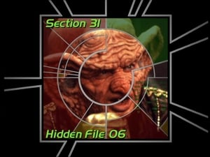 Image Section 31: Hidden File 06 (S02)