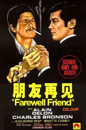 朋友再见 (1968)