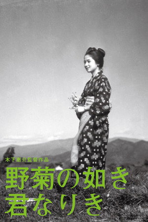 She Was Like a Wild Chrysanthemum